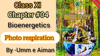 Photo respiration Bioenergetics Chapter04 Class XI Sindh board By Umm e Aiman [upl. by Notyad610]