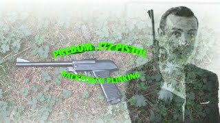 Predom Lucznik 177 pistol backporch plinking [upl. by Mcmillan]