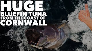 Huge Bluefin Tuna from the UKs south coast [upl. by Ecnarrot]