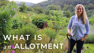 What is an Allotment [upl. by Adnolohs403]