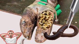 Cut Trim and Cleaning  Screw with Nails WAS STUCK IN cows hoof TK003 [upl. by Deland341]