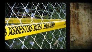 Asbestos Abatement Mold Removal Atlanta [upl. by Eradis]