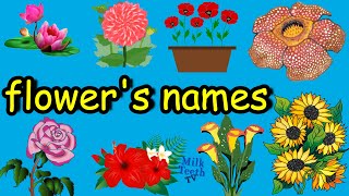 Learn Flowers Names with pictures and correct Pronunciation  Flowers names Vocabulary [upl. by Efram]