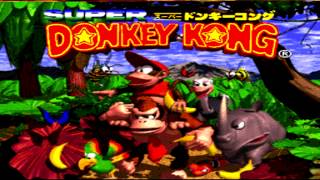 Ecco the Dolphin 2  Big Water Donkey Kong Country Remix [upl. by Nnalorac]