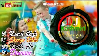 Kashmiri Remix mashup songs  Kashmiri Dj songs  Voice battle AdMir Official [upl. by Innej]