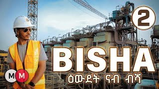 Exploring the Bisha Gold Mine in Eritrea PART 2 ዑደት ናብ ኩባንያ ዕደና ብሻ AlenaWaltaHager [upl. by Gnoud]