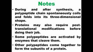 Important Notes of DNA Translation [upl. by Amahcen384]