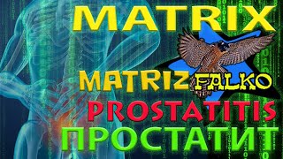 ПРОСТАТИТ  PROSTATITIS [upl. by Ahcsap432]