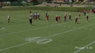 Cincinnati Cardinals Take On The Princeton Vikings In 9u Action [upl. by Kissie]