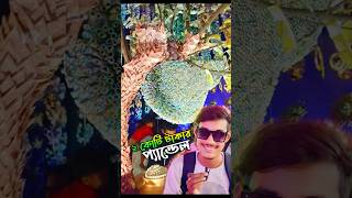 ২ কোটি টাকার প্যান্ডেল 😲পুরো আসল টাকা দিয়ে sanjibthevlogs [upl. by Mik972]