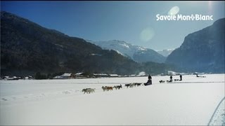 Chiens de traîneaux à Samoëns [upl. by Jorie878]