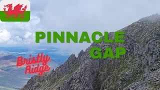 Pinnacle gap Bristly ridge [upl. by Gnilrad]