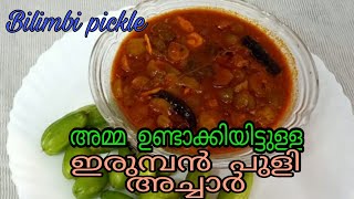 Erumban Puli Achar  അമ്മ ഉണ്ടാക്കിയിട്ടുള്ള ഇലുമ്പൻ പുളി അച്ചാർBilimbi Pickle Ep101 [upl. by Gromme509]