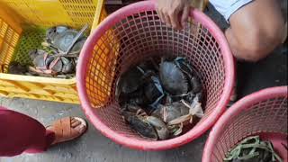 PONTEVEDRA CAPIZ SEAFOODS BAGSAKAN  Vlogger Boyboy [upl. by Pearlstein]