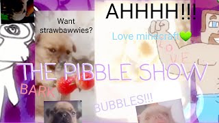 THE PIBBLE SHOW PIBBLE MAYHEM  incredibox scratch mix [upl. by Anirhtak]