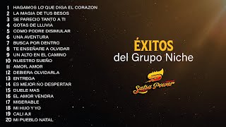 Éxitos Del Grupo Niche  Salsa Power [upl. by Yeliah533]