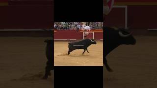 9 de Octubre en Valencia se Celebró las Semifinales del Campeonato de España de Recortes  Así Empez [upl. by Ellessig972]