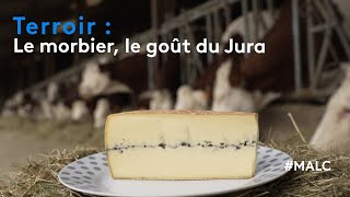 Terroir  le morbier le goût du Jura [upl. by Rheta]