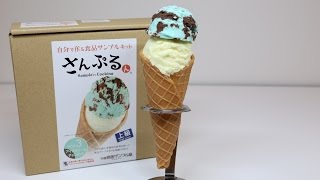 Food Sample Making Kit Chocolate Mint Ice Cream [upl. by Franzoni]