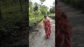 Tea estate youtube shortvideo love tea garden short [upl. by Ennavoj845]