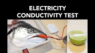 Electricity Conductivity Test [upl. by Powell232]