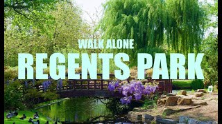 REGENTS PARK WALK 2024 [upl. by Nired]