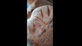 94 Chleb portugalski Pão de água 🍞🥖  Taste of thermomix 💚 [upl. by Aiza]