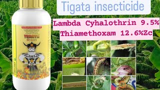 Tegata insecticide Parijat Lambda Cyhalothrin 95Thiamethoxam 126Zc [upl. by Finer]