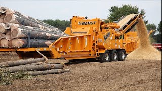 Amazing Wood Chipper Machine Working Skill Extreme Fast Tree Shredder Easy [upl. by Elwood]