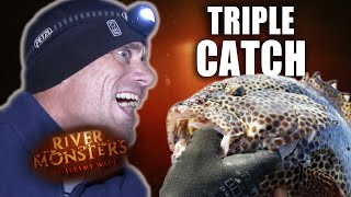 Triple Catch Special  Grouper Tigerfish amp Black Jack  River Monsters [upl. by Virgin]