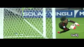 Guillermo Ochoa Best Saves ● World Cup 2014 HD [upl. by Ayote]