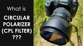 What is Polarizer Filter CPL filter Hindi [upl. by Hahn]