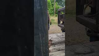 CHAINING DOWN THE SKIDSTEER skidsteer takeuchi chains chainingup trailer leavingout ready [upl. by Ynottirb707]