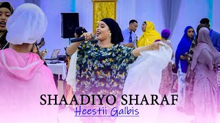 SHAADIYO SHARAF 2023  HEES AROOS GALBIS  OFFICIAL VIDEO [upl. by Leanahtan]