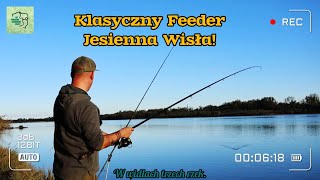 W końcu ryby z jesiennej Wisły Klasyczny feeder nad dużą rzeką [upl. by Alamak]