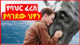 🔴 ቤቱ ውስጥ የባህር ፈረስ ያሳደገው ህፃን  Kokeb film  Achir film  mert film  ምርጥ ፊልም  sera film [upl. by Ailuy489]