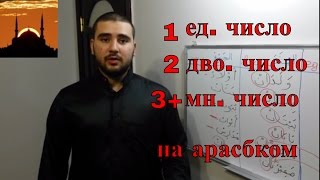 арабский язык  единственное двойственное и множественное число 4  المفرد والمثني و الجمع [upl. by Ahselef27]