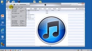 How To Delete Duplicate Songs Apple iTunes  Free amp Easy [upl. by Annaitat889]