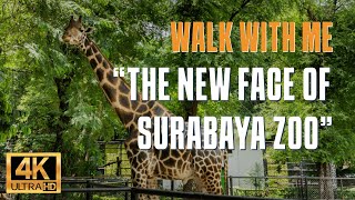 Kebun Binatang Surabaya KBS 4K  Experience the Sensation of the Animal World [upl. by Lissner]