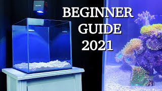 No money no problem  REEF TANK BASICS  quothow to start a saltwater aquariumquot BEGINNER GUIDE 2021 [upl. by Mozelle]