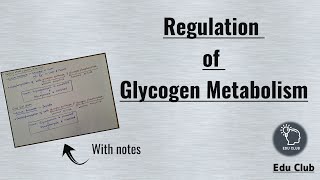 Regulation of Glycogen Metabolism  Glycogen metabolism  Carbohydrate metabolism  Biochemistry [upl. by Ernesto]