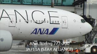 Amazing sound  PampW PW4000 Full Power ANA Boeing 777 （満席、大雨、追い風の中、本気の離陸） [upl. by Janeva]