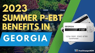 Summer 2023 PEBT in Georgia Payment Update [upl. by Esmerelda]