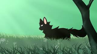 Dizzy On The Comedown WIP Hollyleaf amp Willowshine [upl. by Keeler101]