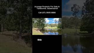 wallabies in this acreage property for sale in tamborine qld [upl. by Milissa]