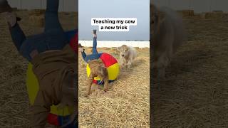 Teaching my cow a funny new trick [upl. by Noloc]