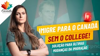 IMIGRE PARA O CANADÁ SEM O COLLEGE SOLUÇÃO PARA OS ESTUDANTES INTERNACIONAIS [upl. by Haliehs943]