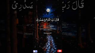 Rabbi sh rahli sadri wa yassirli amri  Surah Taha  سورۃ طہ shorts rabbi success youtubeshorts [upl. by Anoik]