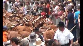 TRANSHUMANCE FESTIVAL ALLANCHE THE AUVERGNE [upl. by Rodrich]