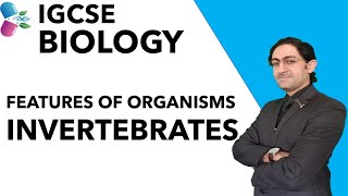 IGCSE BIOLOGY 13 FEATURES OF ORGANISMSINVERTEBRATES [upl. by Enywtna]